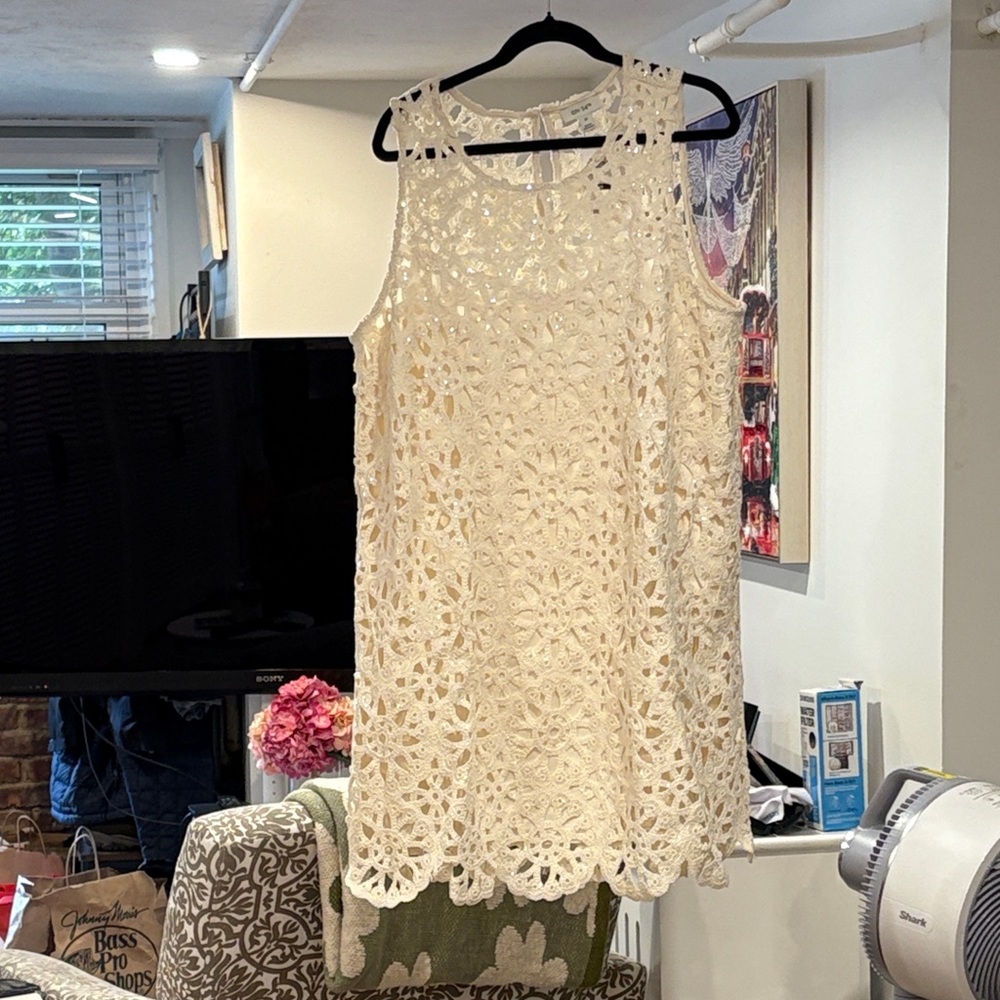 Elegant Cream Lace Dress with clear sequins